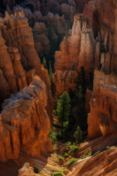 Abajo Cañón Parque Nacional Bryce Canyon Hermosas Formaciones Rocosas — Foto de Stock