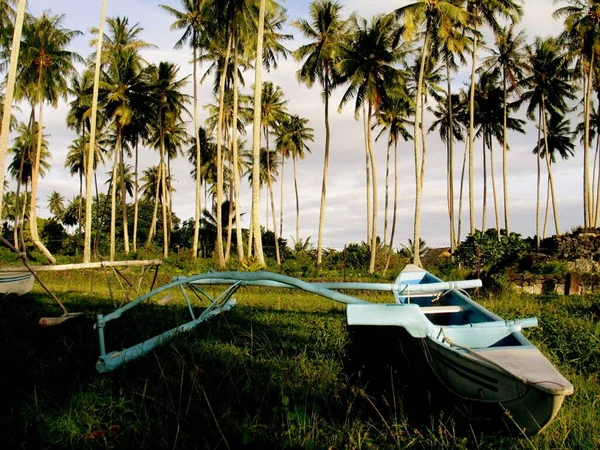 Boat Grassy Field Palm Trees Background — Stock Photo, Image