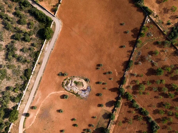 Luftaufnahme Einer Spanischen Landschaft Mit Bäumen Und Einer Finca Umgeben — Stockfoto