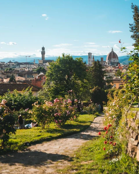 Krásný Výhled Panorama Florencie Jasně Modrou Oblohou Krásného Parku — Stock fotografie