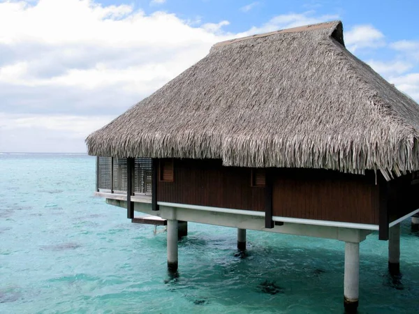 Bora Bora Vizén Egy Fatörzs Francia Polinézia — Stock Fotó