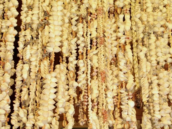 Крупный План Ракушек Прикрепленных Веревкам Бора Бора Французская Полинезия — стоковое фото
