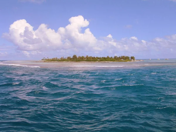 Ein Meer Mit Bäumen Der Ferne Tahiti Französisch Polynesien — Stockfoto
