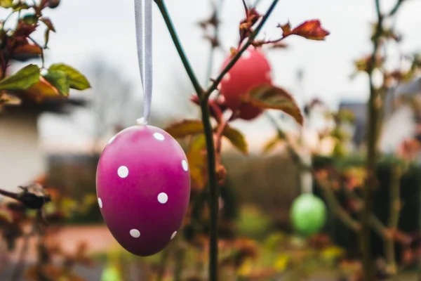 Three Easter Eggs Hanging Tree Nice Blurry Background Stock Picture