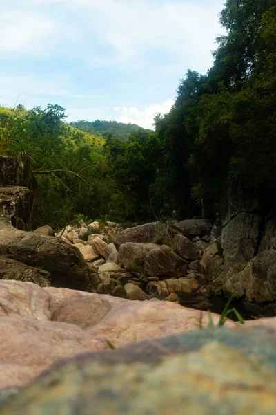 Diverse Rocce Alberi Nella Foresta Ninh Hoa Vietnam — Foto Stock