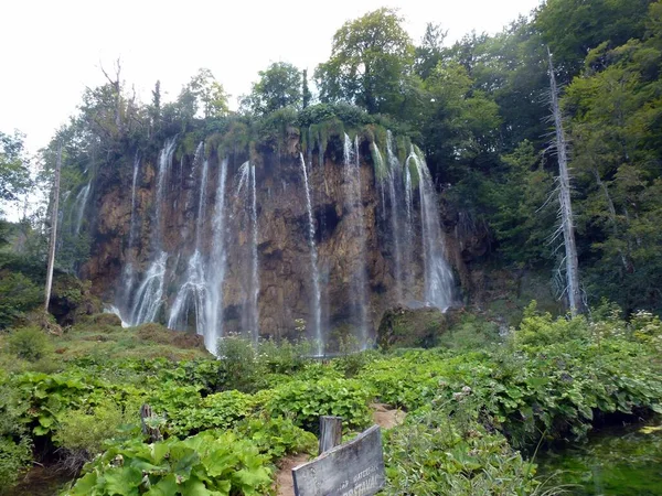 Водопад Окруженный Деревьями Плитвице Хорватия — стоковое фото
