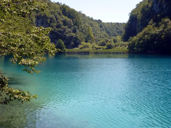 Jezioro Otoczone Zielonymi Drzewami Roślinami Plitwicach Chorwacja — Zdjęcie stockowe