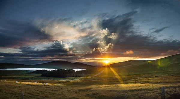 Mournebergen Täckta Grönska Molnig Himmel Solnedgången Nordirland — Stockfoto