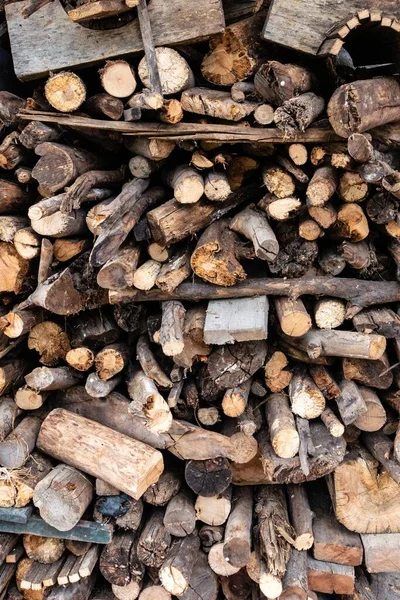 Vertikální Záběr Hromadu Lesů — Stock fotografie