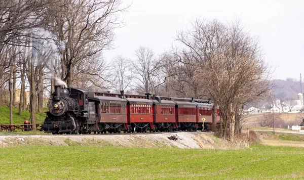 在无叶树中间的一列旧火车 — 图库照片