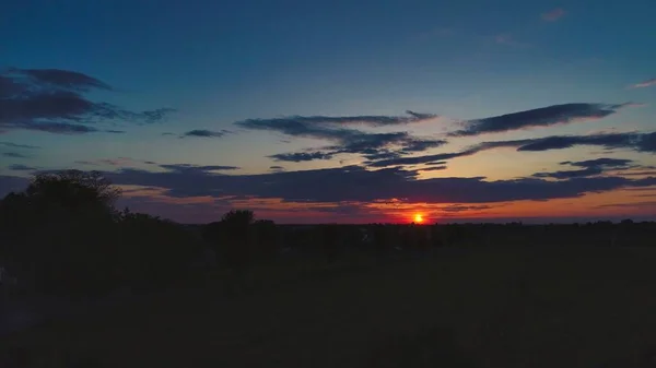 Eine Schöne Aufnahme Von Bäumen Auf Der Wiese Bei Sonnenuntergang — Stockfoto