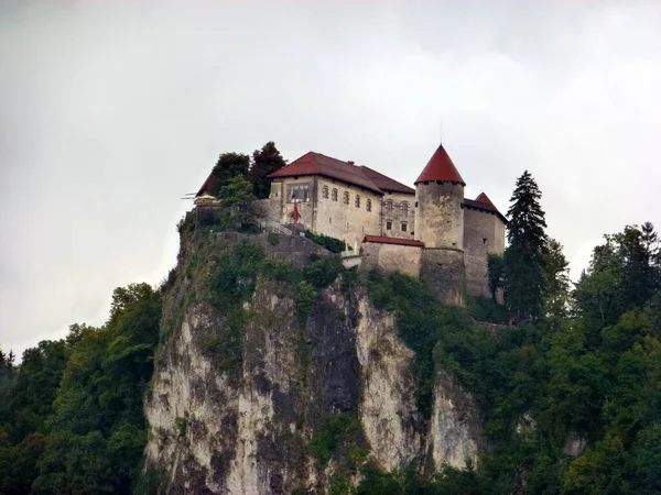 Castelo Medieval Bled Penhasco Acima Lago Bled — Fotografia de Stock