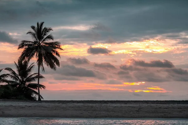 Belo Tiro Pôr Sol Sobre Praia Com Uma Silhueta Árvores — Fotografia de Stock