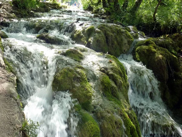 Водный Поток Окруженный Деревьями Плитвице Хорватия — стоковое фото