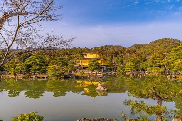 Tiro Panorâmico Templo Dourado Kinkaku Cercado Por Árvores Kyoto Japão — Fotografia de Stock