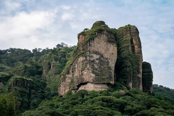 Impresionante Roca Gigante Parte Del Bosque Vegetación Que Gana Terreno —  Fotos de Stock
