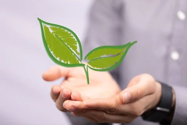 Concept Écologie Planète Respectueuse Environnement — Photo