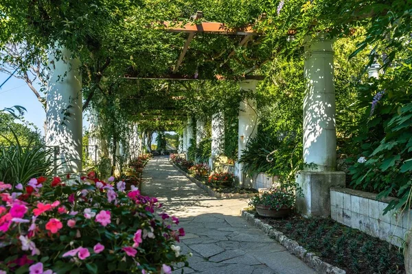 Uma Bela Foto Pérgula Nos Jardins Villa San Michele Capri — Fotografia de Stock