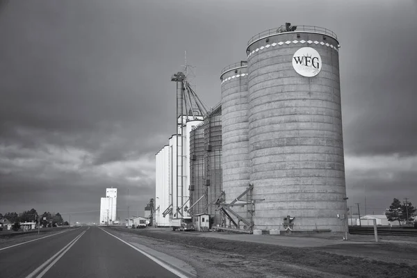 米国の農地での穀物エレベーターのグレースケールショット — ストック写真