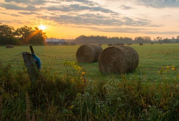 Soluppgången Canadian Farmland — Stockfoto
