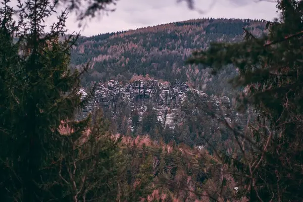 Önünde Köknar Ağaçları Olan Dağların Güzel Bir Görüntüsü — Stok fotoğraf