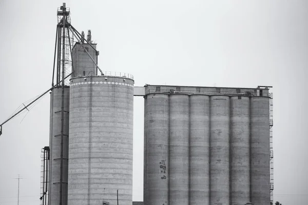 Tiro Escala Cinza Dos Elevadores Grãos Nas Terras Agrícolas Nos — Fotografia de Stock