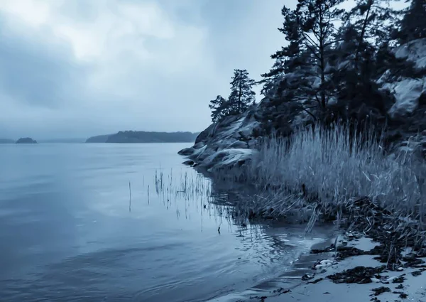 Beau Cliché Lac Calme Avec Des Arbres Sur Rivage Suède — Photo