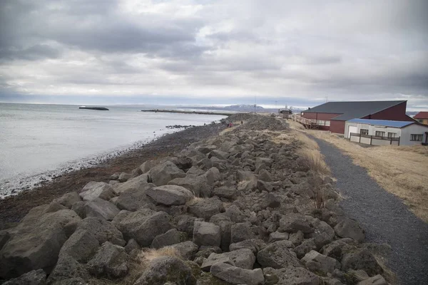 Kövek Testen Óceán Izland Vidékén Egy Borús Napon — Stock Fotó