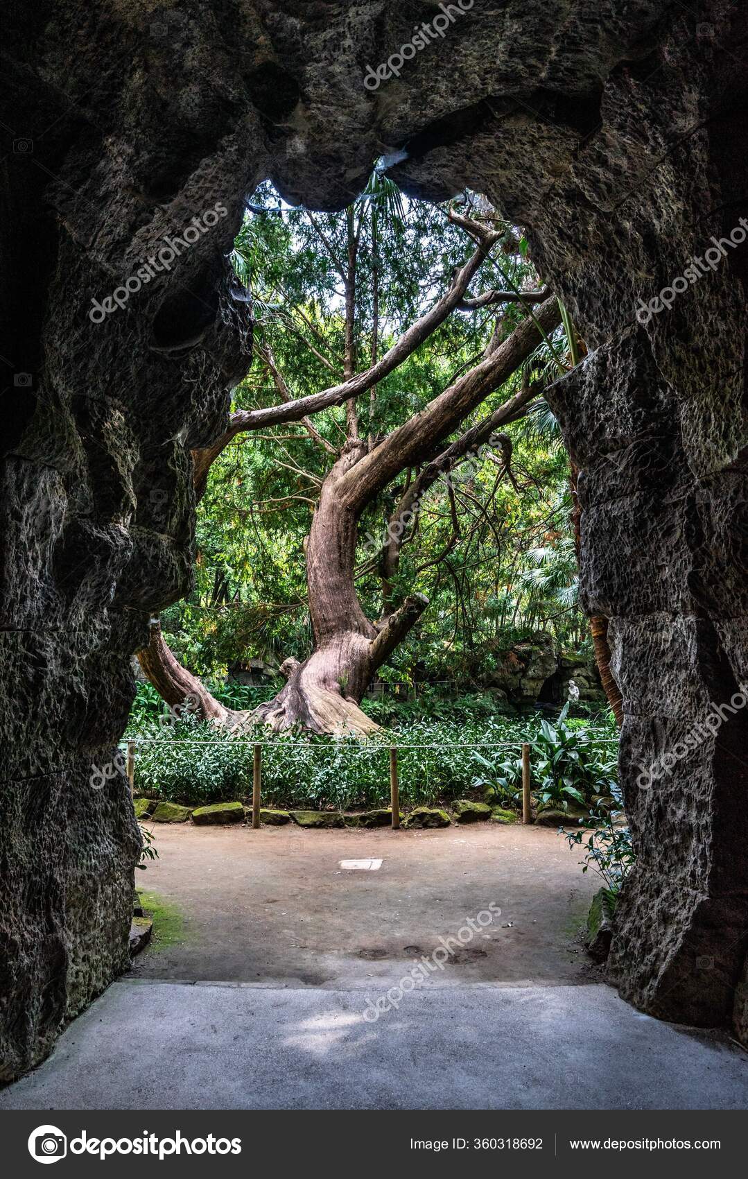 Дерево Видимое Через Дверь Английского Сада Королевском Дворце.