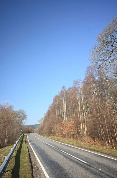 Colpo Verticale Una Strada Cemento Scozia Con Alberi Forestali Sul — Foto Stock