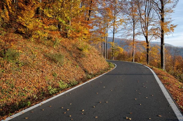 Una Strada Sulla Montagna Autunno Croazia Zagabria Medvednica — Foto Stock