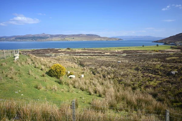 Een Wijd Schot Van Een Veld Lakeshore Van Schotland Met — Stockfoto