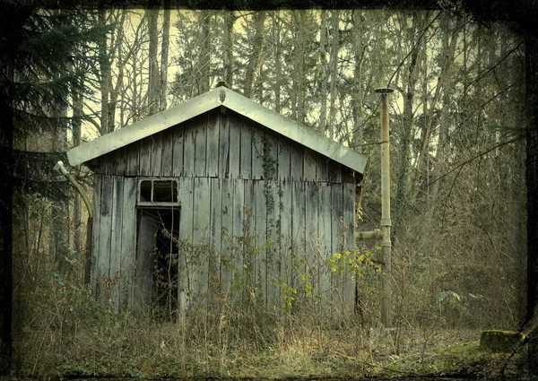 Beau Cliché Une Vieille Maison Bois Milieu Une Forêt — Photo