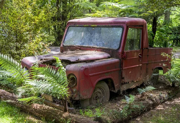 Rusty Red Car Lying Abandoned Forest Background Surrounded Trees — Stock Photo, Image