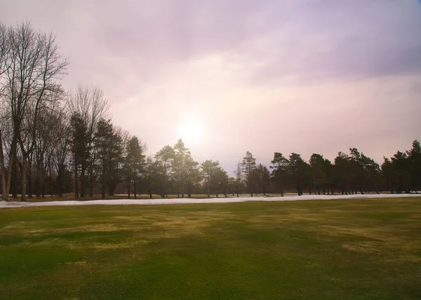 朝の日の出には曇り空の下で木々に囲まれたゴルフ場 — ストック写真