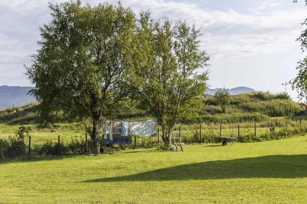 Kleding Hangend Tussen Twee Lommerrijke Bomen Midden Een Groene Weide — Stockfoto