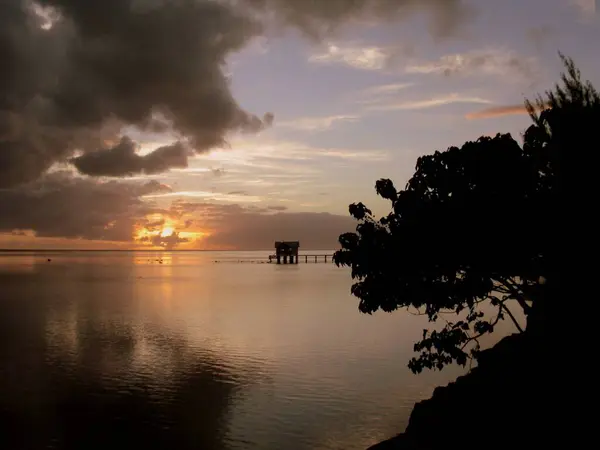 Silueta Stromů Moře Tahiti — Stock fotografie