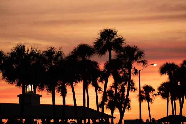 Belvédère Entouré Palmiers Pendant Coucher Soleil — Photo