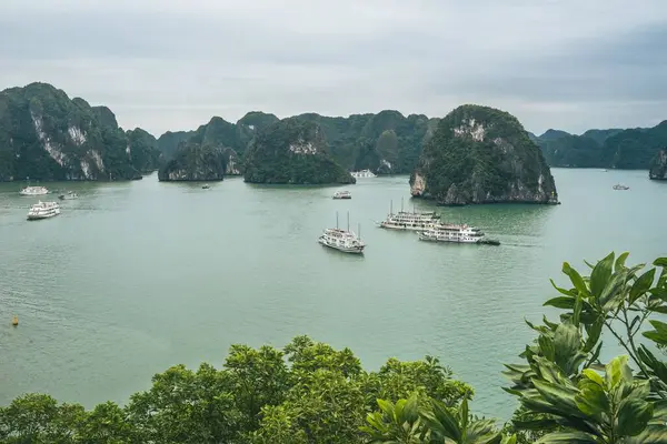 Bellezza Del Patrimonio Unesco Long Bay Quang Ninh Vietnam — Foto Stock