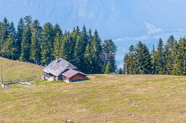 Magas Szögű Lövés Házak Körül Zöld Fák Corbeyrier Vaud Svájc — Stock Fotó