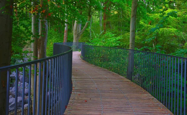 Eine Uferpromenade Mit Geländern Mitten Grünen Wald Kühl Für Den — Stockfoto