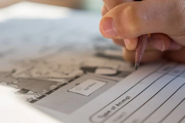 Primer Plano Mano Del Niño Sosteniendo Lápiz Llenando Las Tareas —  Fotos de Stock