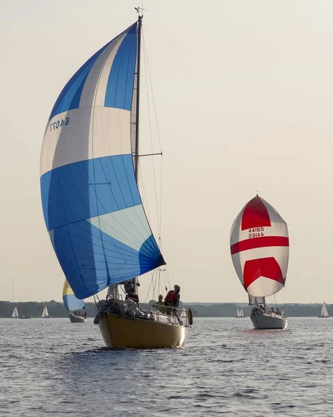 オタワ川での帆船レース — ストック写真