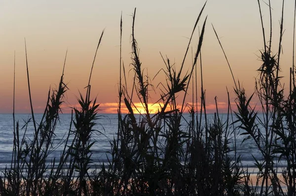 日落时西班牙卡迪兹的帕尔马海滩 — 图库照片