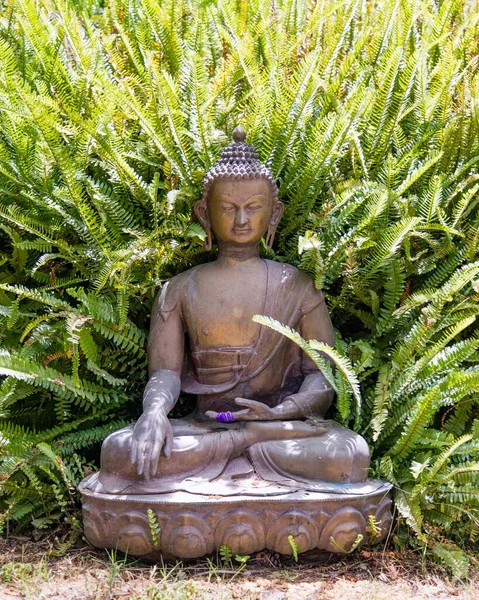 Una Statua Buddha Posta Terra Ampia Felce Che Cresce Dietro — Foto Stock