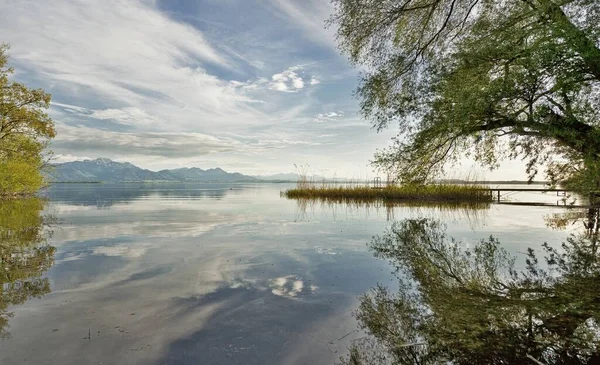 Piękne Ujęcie Jeziora Otoczonego Drzewami Wzgórzami Tle — Zdjęcie stockowe