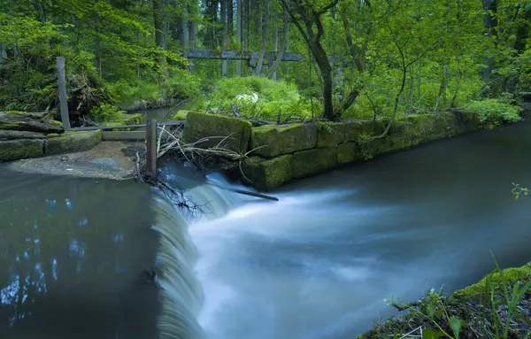 Krásný Záběr Vodopádu Řece Obklopen Vysokými Stromy Lese — Stock fotografie