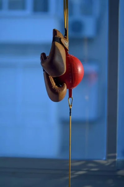 Vertical Closeup Boxing Gloves Speedball Sunlight Blurry Background — Stock Photo, Image