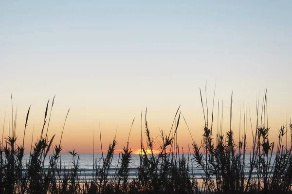 Пальмарський Пляж Кадісі Іспанія Під Час Заходу Сонця — стокове фото