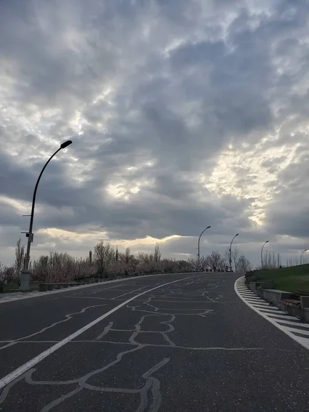 Una Imagen Vertical Camino Rodeado Por Hierba Los Árboles Bajo — Foto de Stock